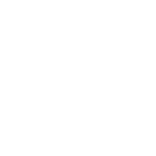 Persib Bandung White logo