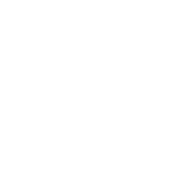 Persib Bandung White logo