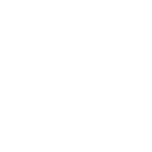 Premier League White 2 logo