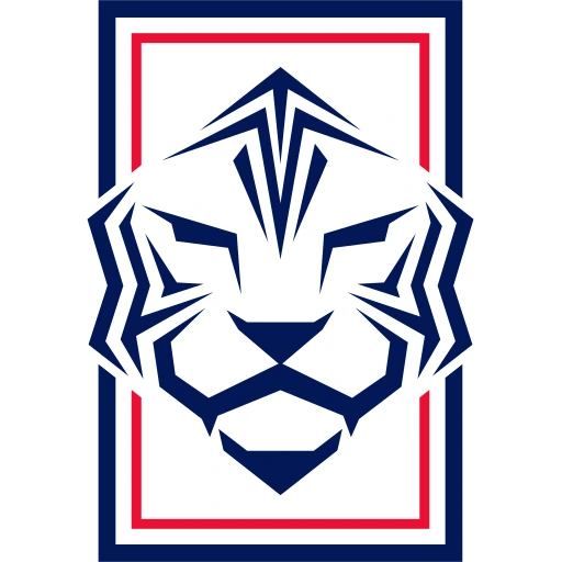 South Korea National Team Dark logo