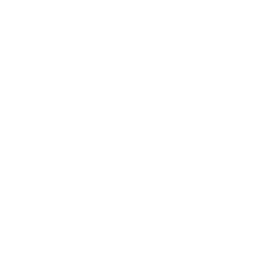 Spain National Team White logo