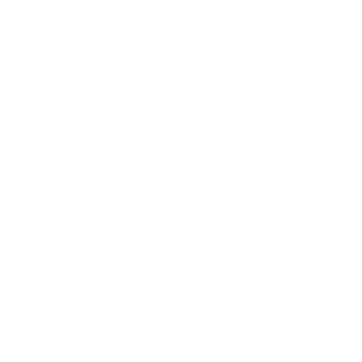 Torino White logo