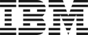 IBM logo
