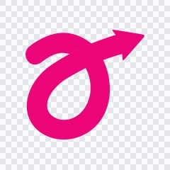 Anteraja colored icon SVG