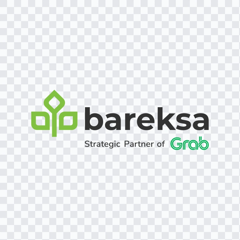 Bareksa colored logo SVG