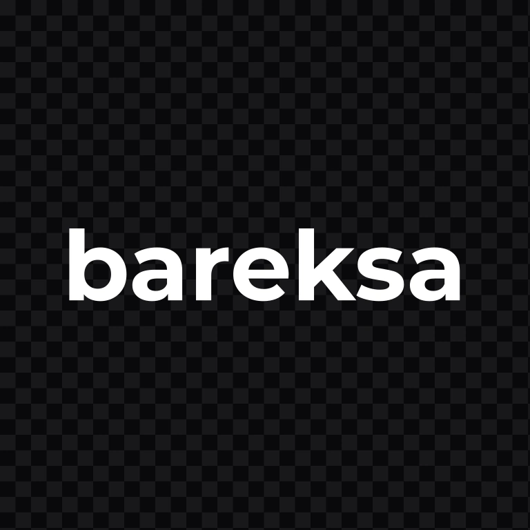 Bareksa white wordmark SVG