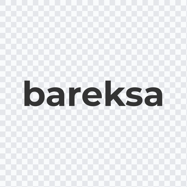 Bareksa colored wordmark SVG