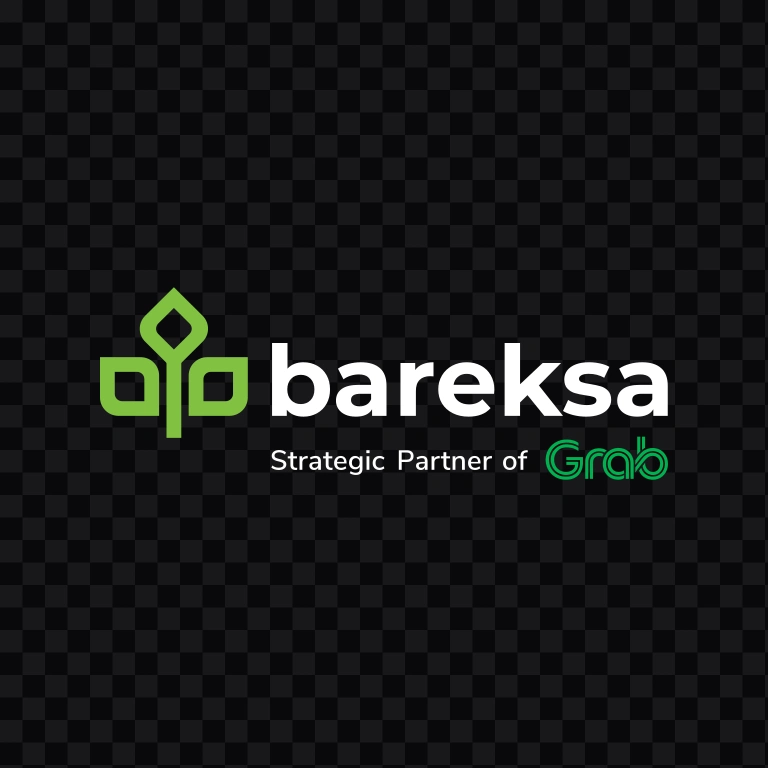 Bareksa light logo SVG