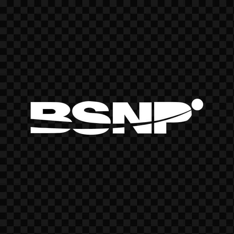 BNSP white logo SVG