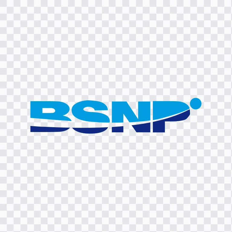 BNSP colored logo SVG