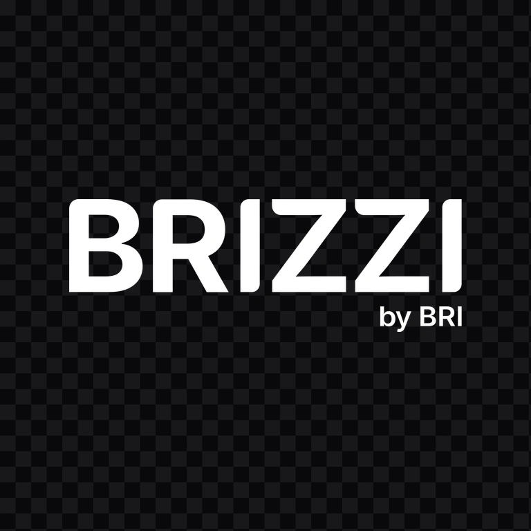 BRIZZI white logo PNG