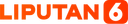 Liputan6.com logo