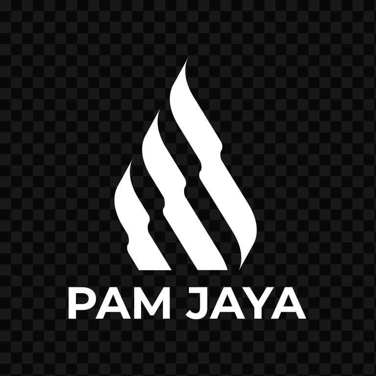 PAM JAYA white logo SVG