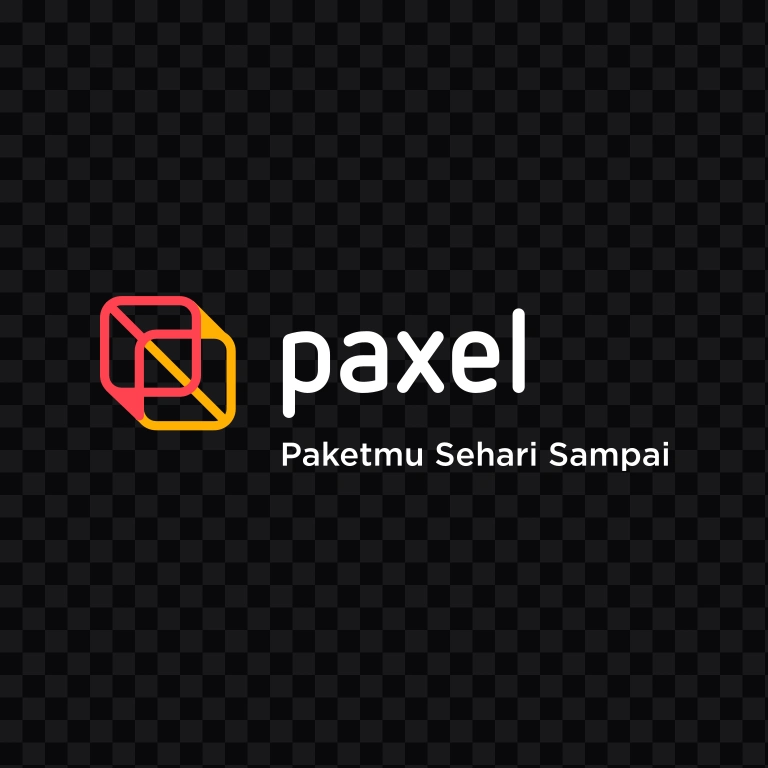 Paxel light logo SVG