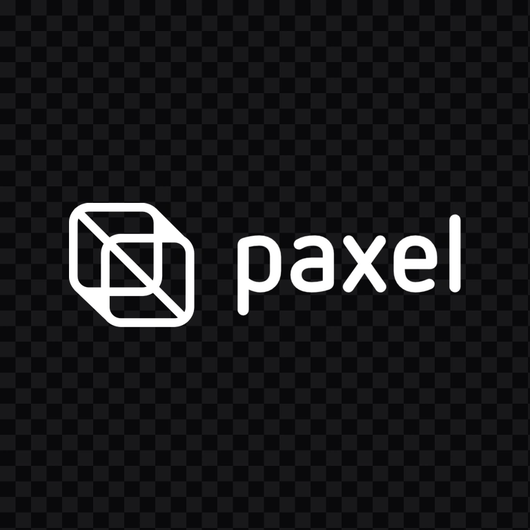 Paxel white logo PNG