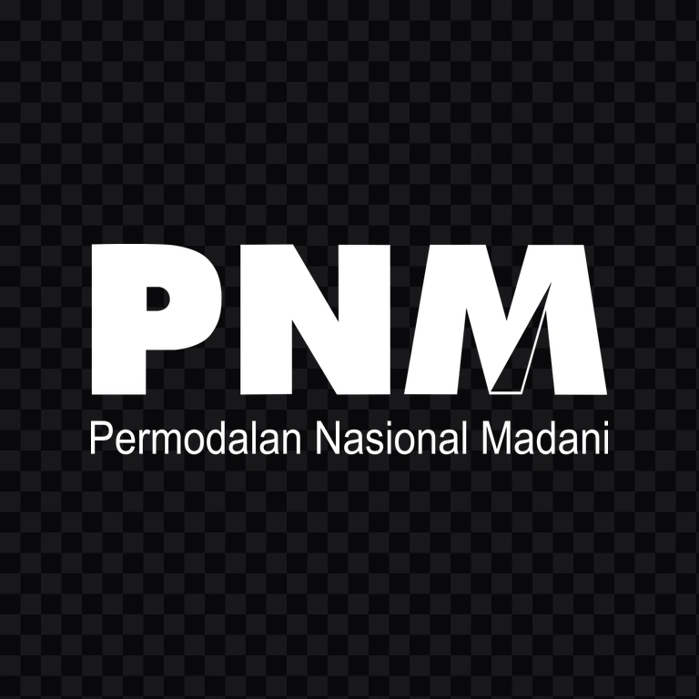 PNM (Permodalan Nasional Madani) white logo PNG