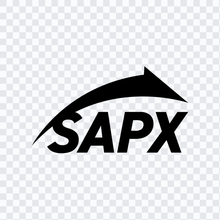 ikon SAP Express hitam PNG