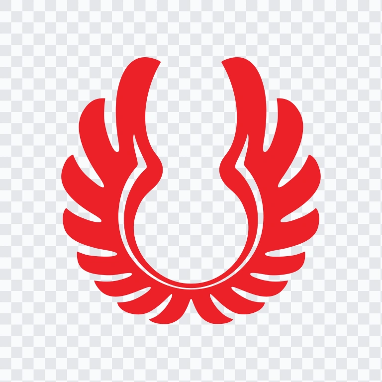 Wings Air colored icon SVG