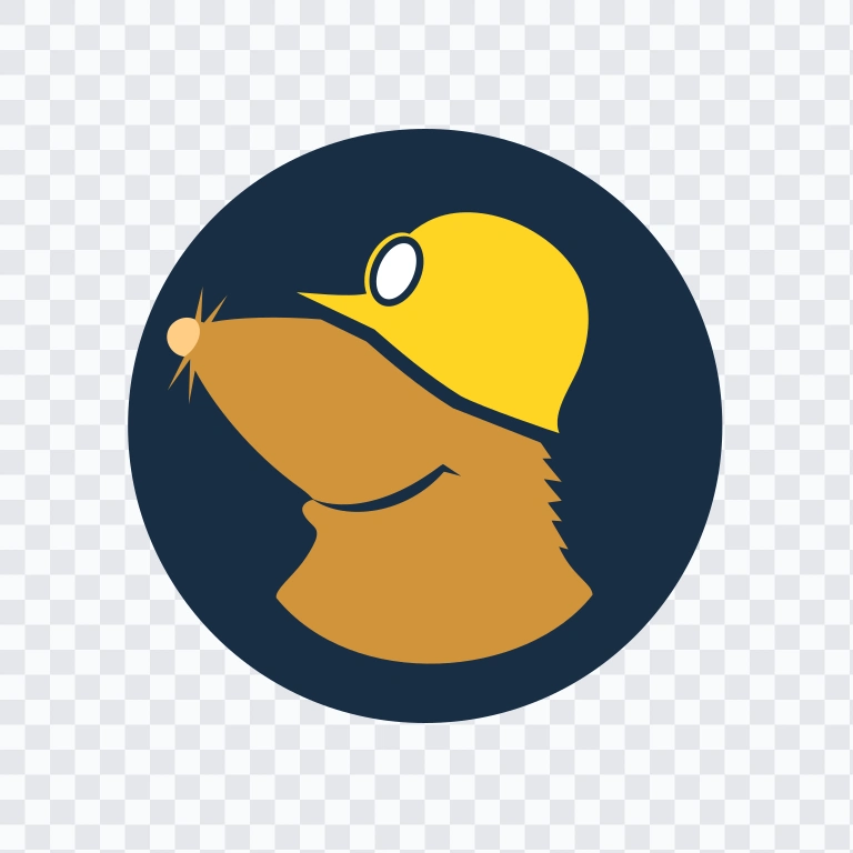 Mullvad VPN colored icon SVG