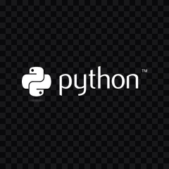 logo Python putih PNG