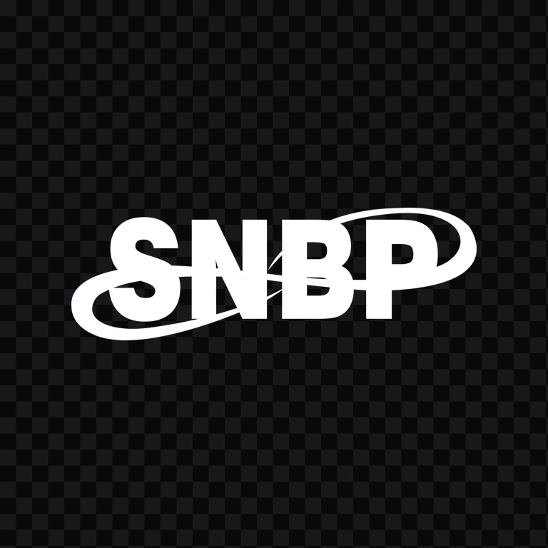 SNBP White logo