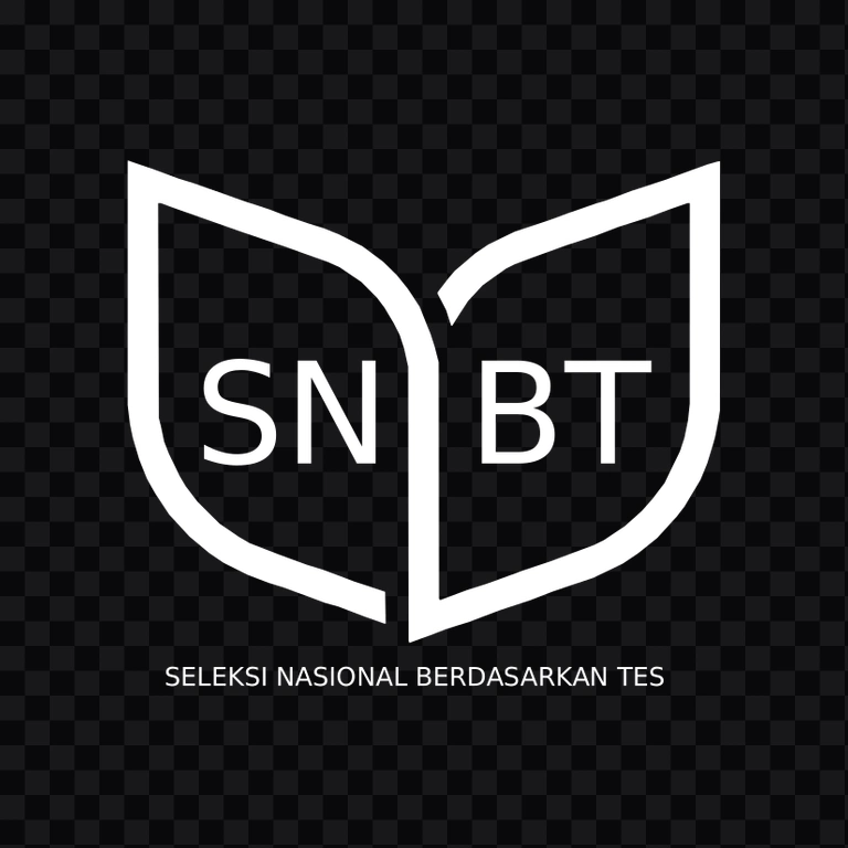 SNBT White logo