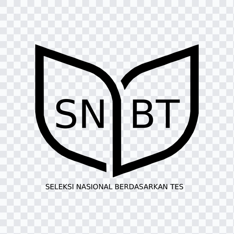 SNBT Black logo