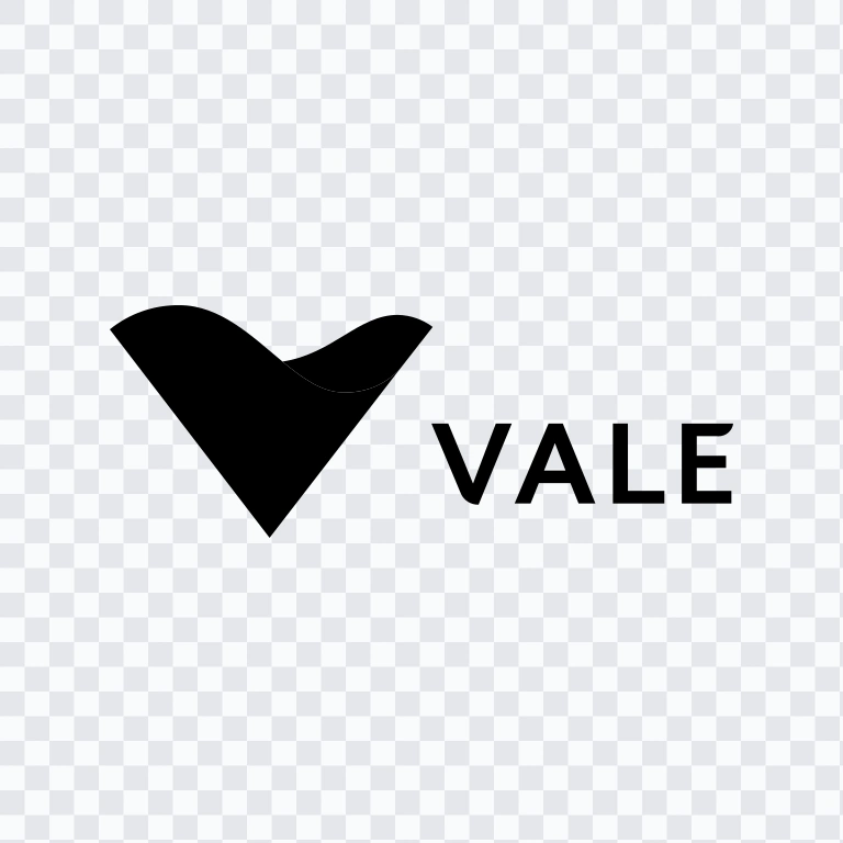Vale black logo SVG