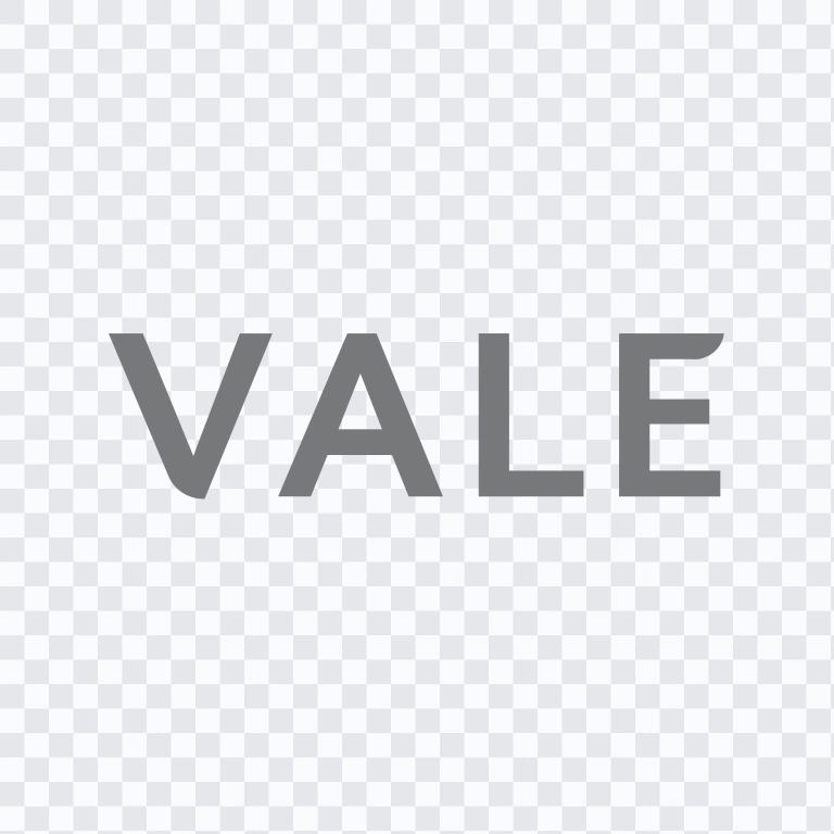 Vale colored wordmark SVG